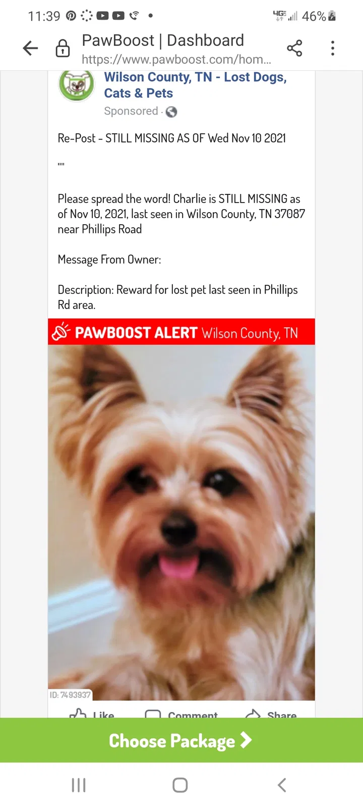 Lost dog in Lebanon, TN, 37087