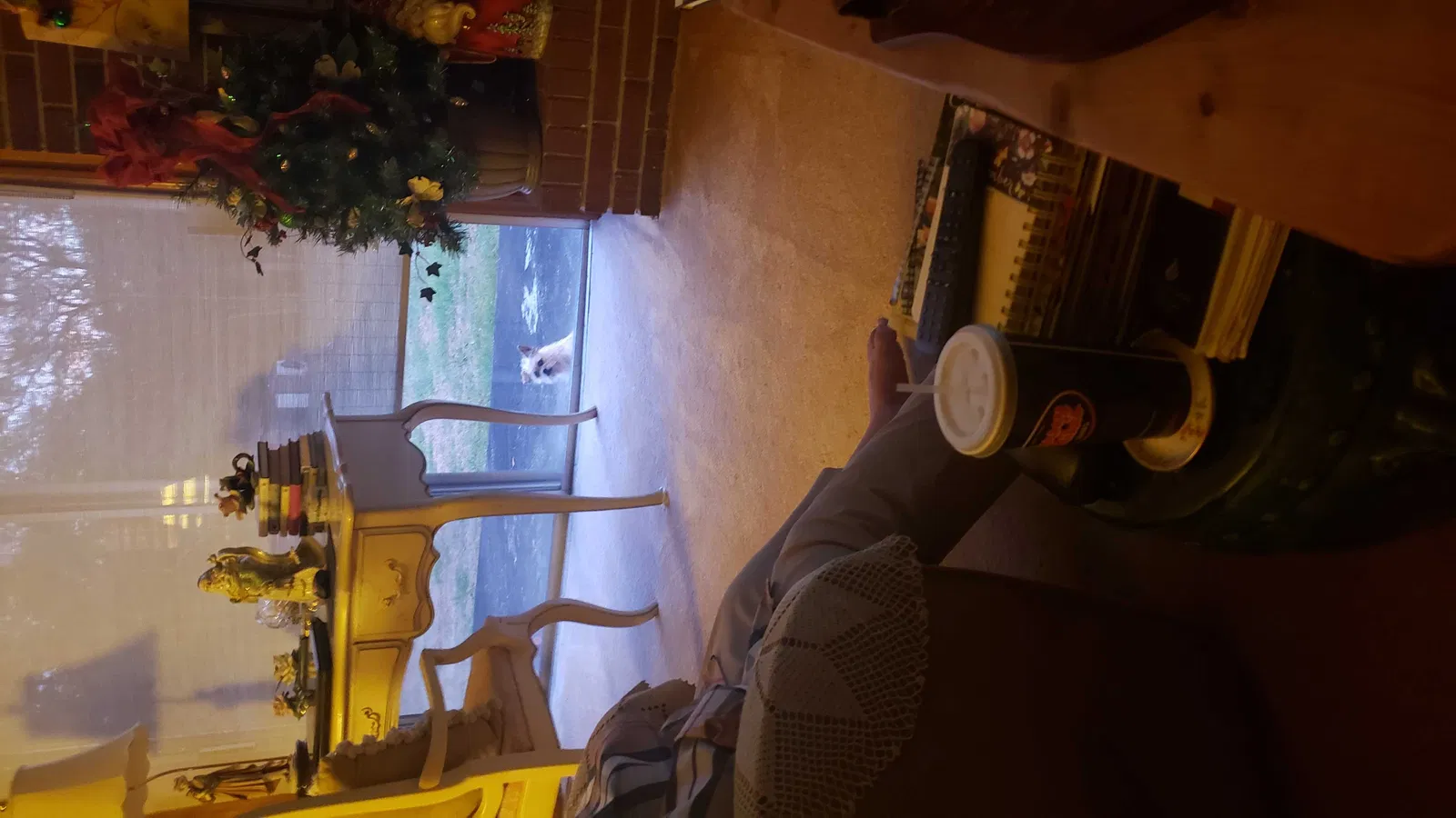 Lost dog in Fountain Inn, SC, 29644