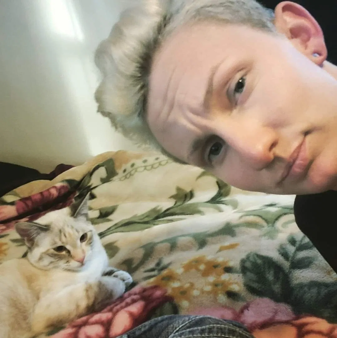 Lost cat in Caldwell, ID, 83607