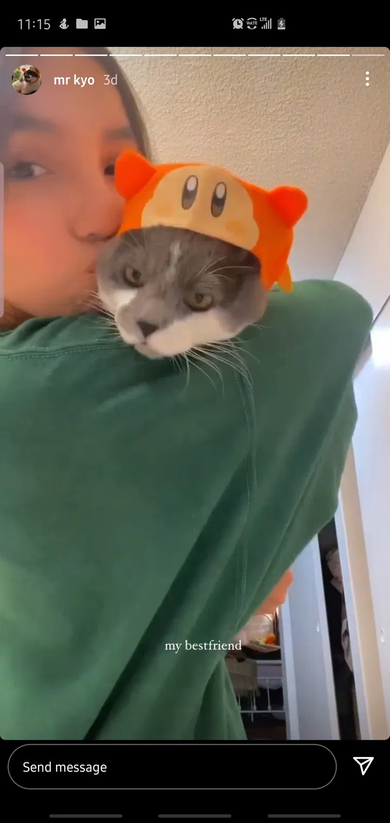 Lost cat in Grand Terrace, CA, 92313