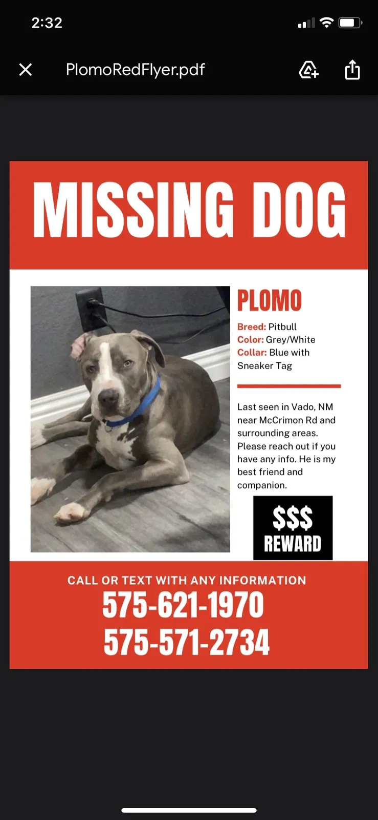 Lost dog in Vado, NM, 88072