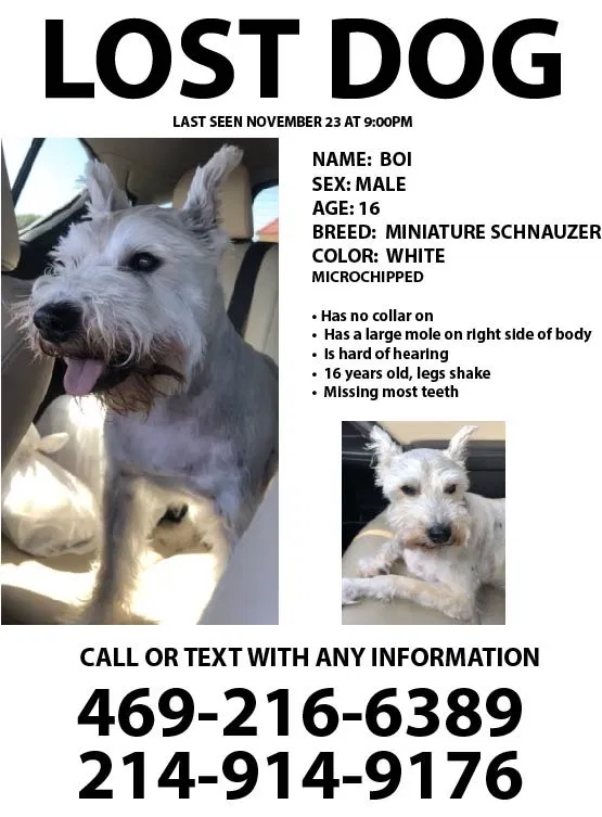 Lost dog in Grand Prairie, TX, 75052