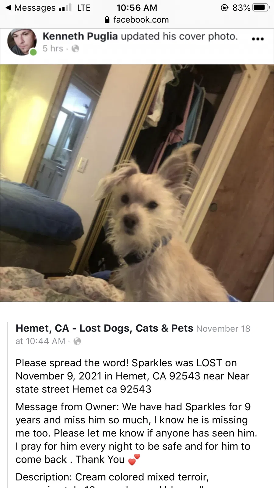 Lost dog in Hemet, CA, 92543