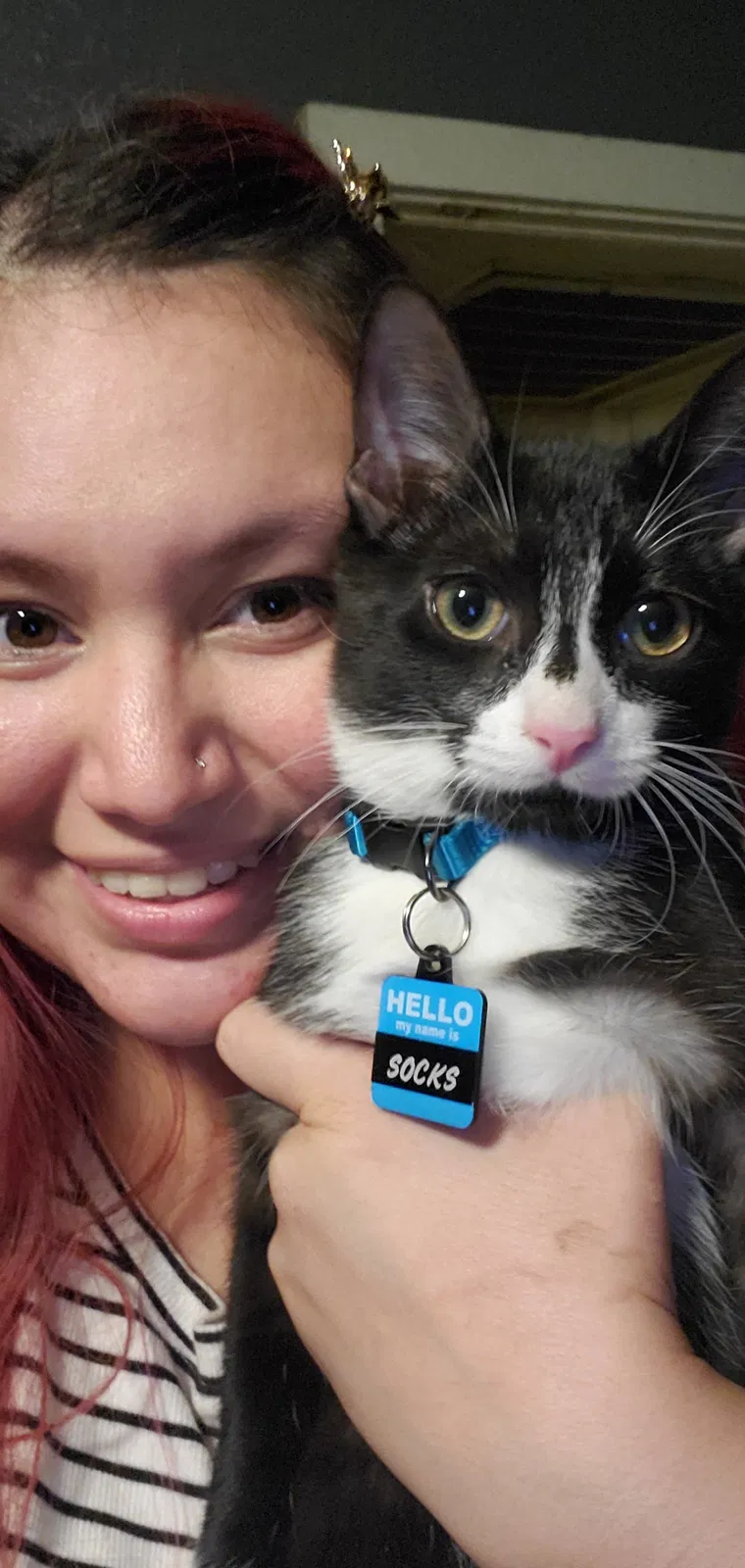 Lost cat in Phoenix, AZ, 85021