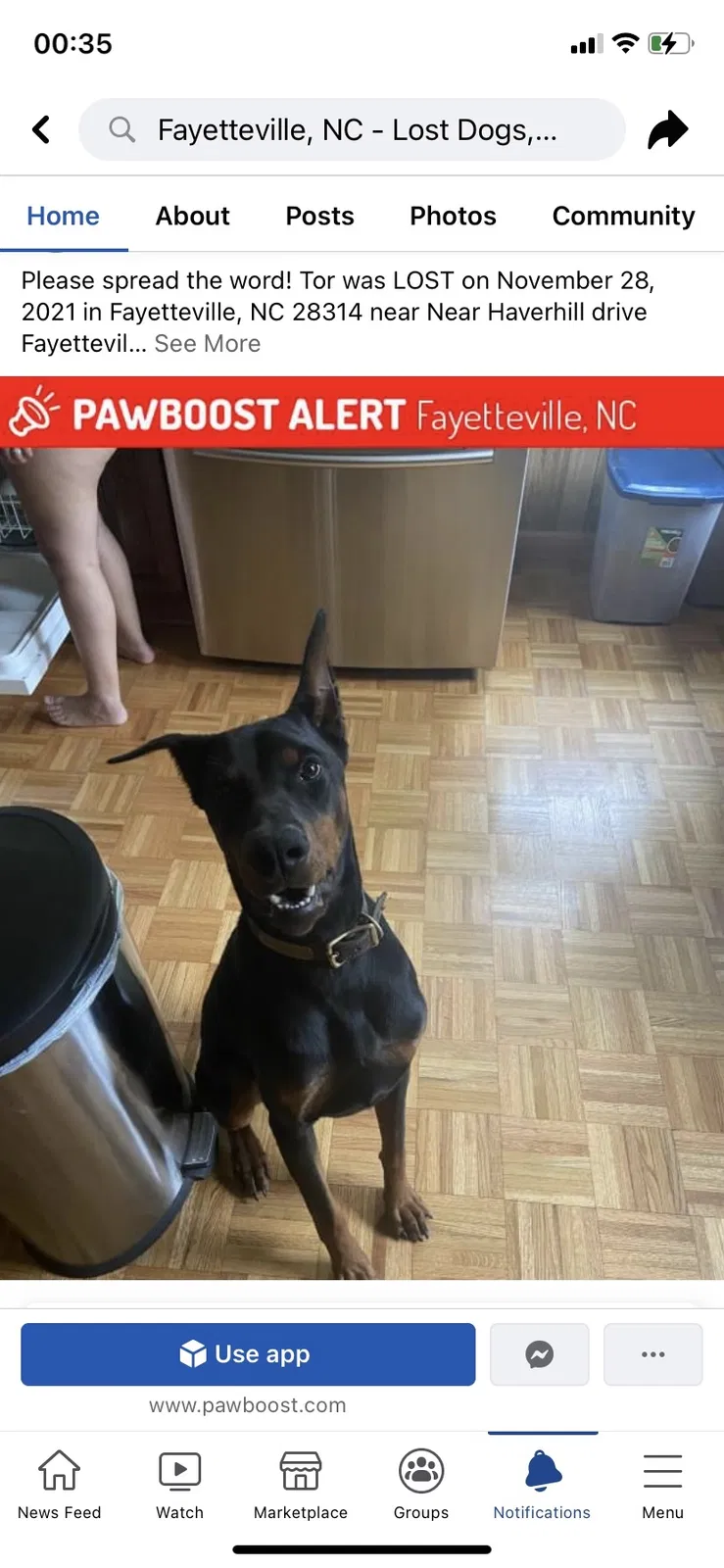Lost dog in Fayetteville, NC, 28314