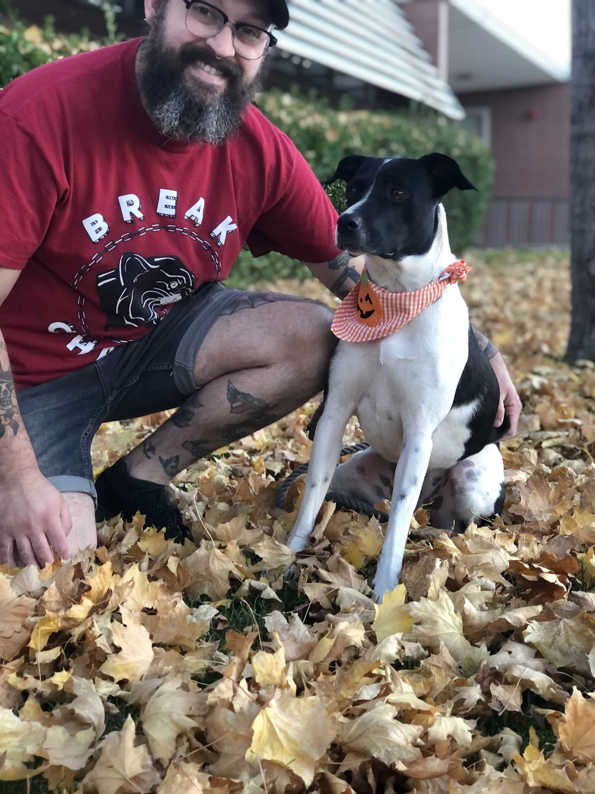 Lost dog in Salt Lake City, UT, 84118