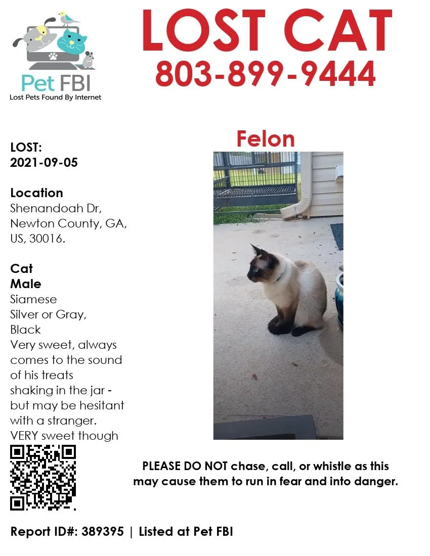 Lost cat in Covington, GA, 30016