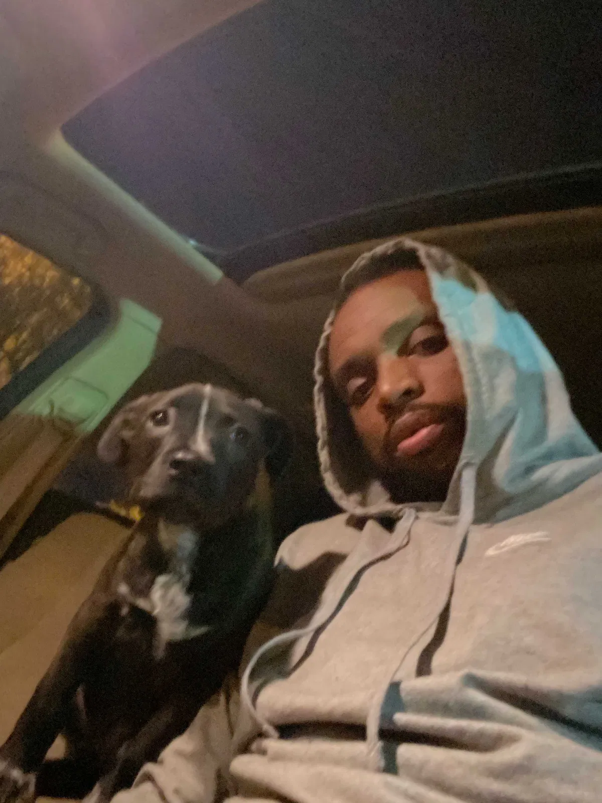 Lost dog in Mesa, AZ, 85210