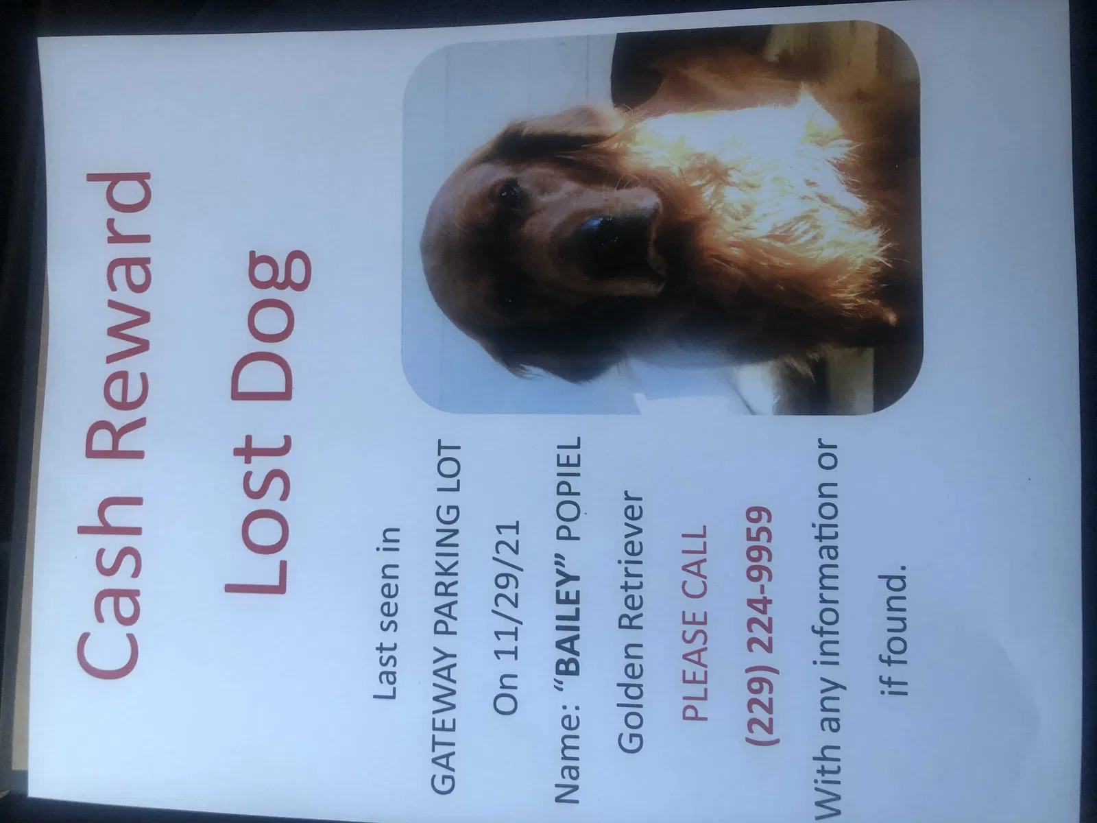 Lost dog in Thomasville, GA, 31792
