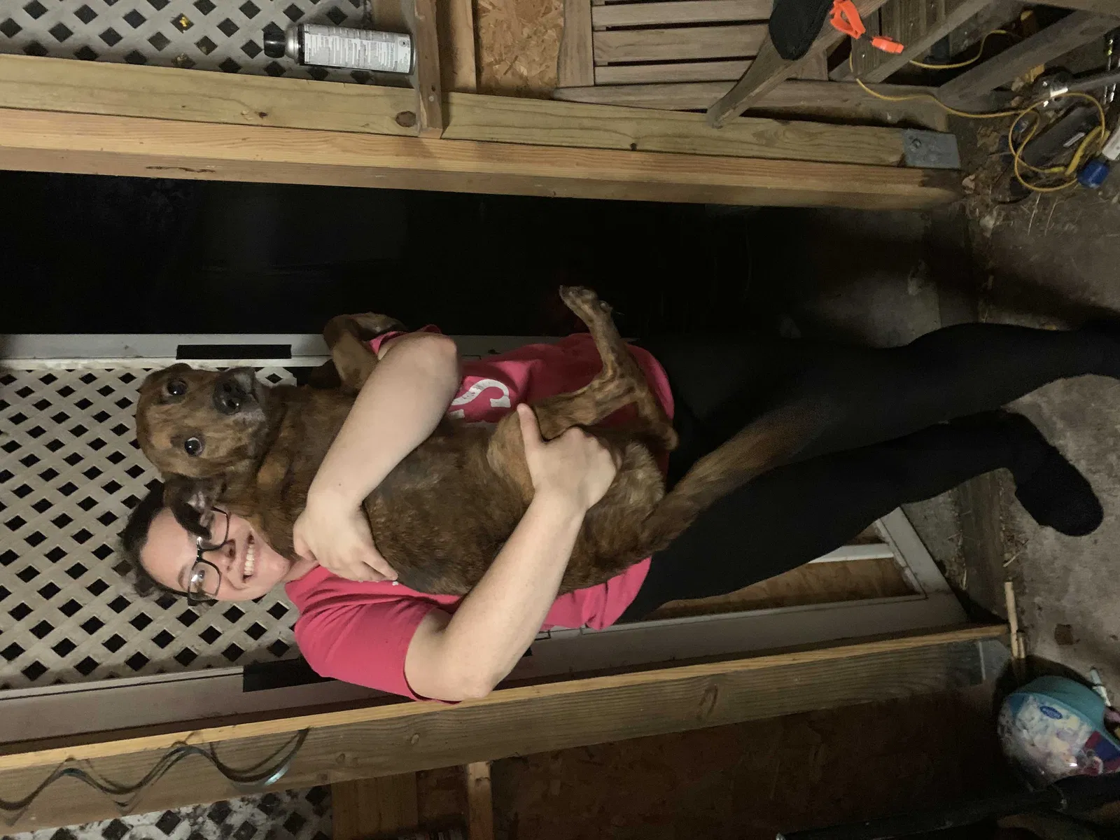 Lost dog in Corpus Christi, TX, 78412