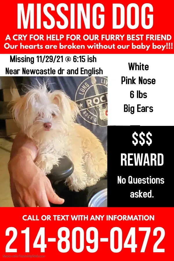 Lost dog in Garland, TX, 75041