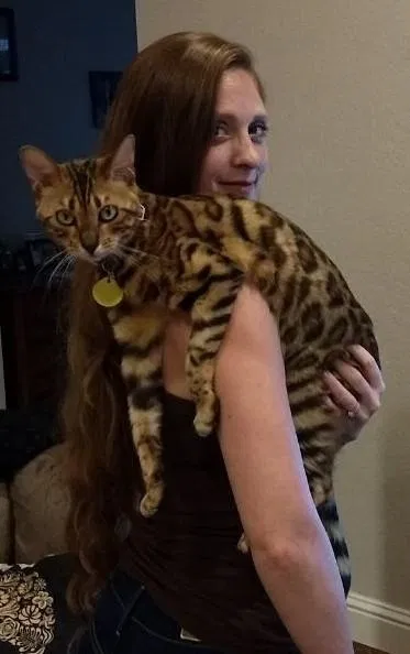 Lost cat in Sacramento, CA, 95827