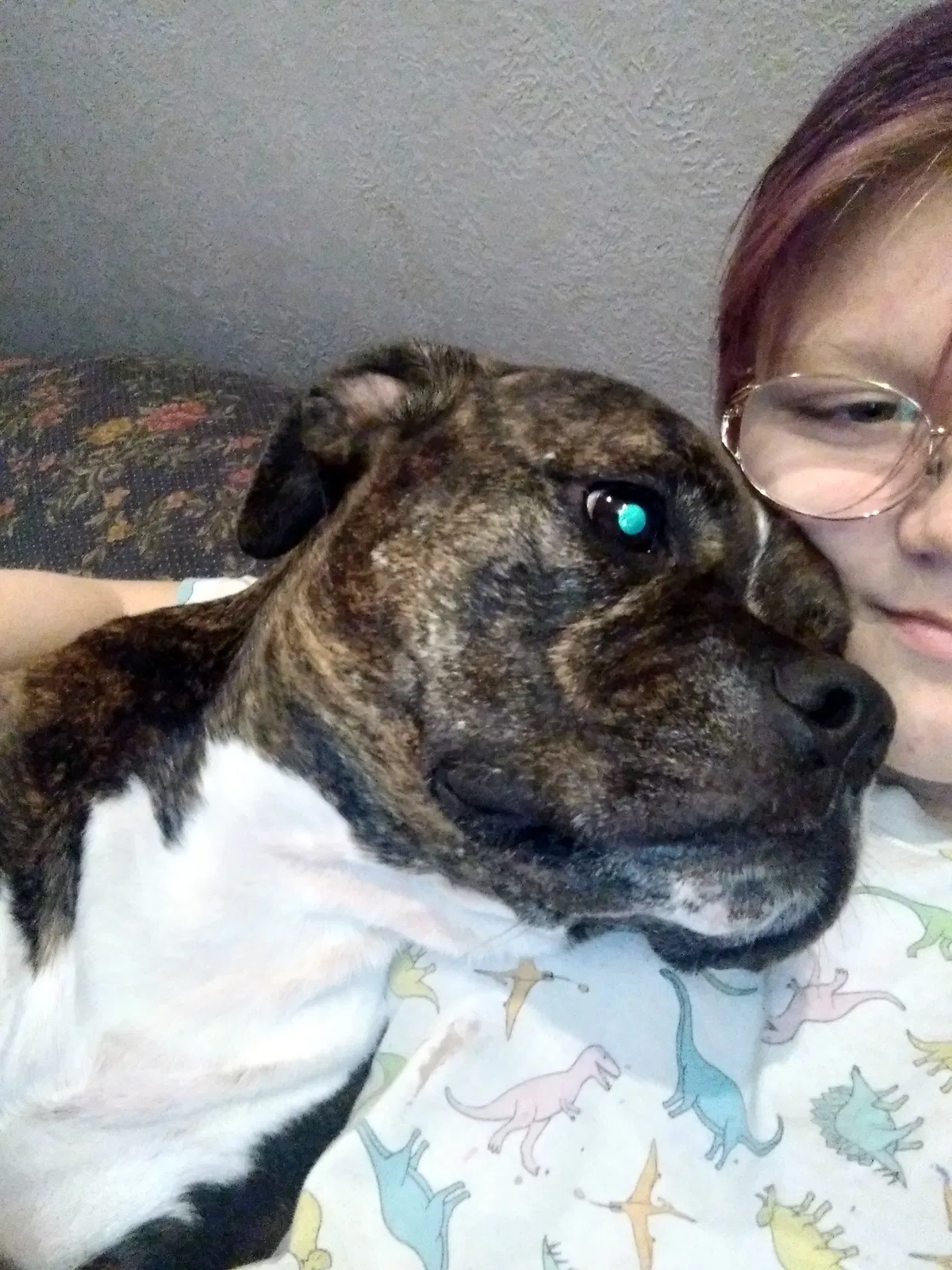 Lost dog in Bloomington, IN, 47404