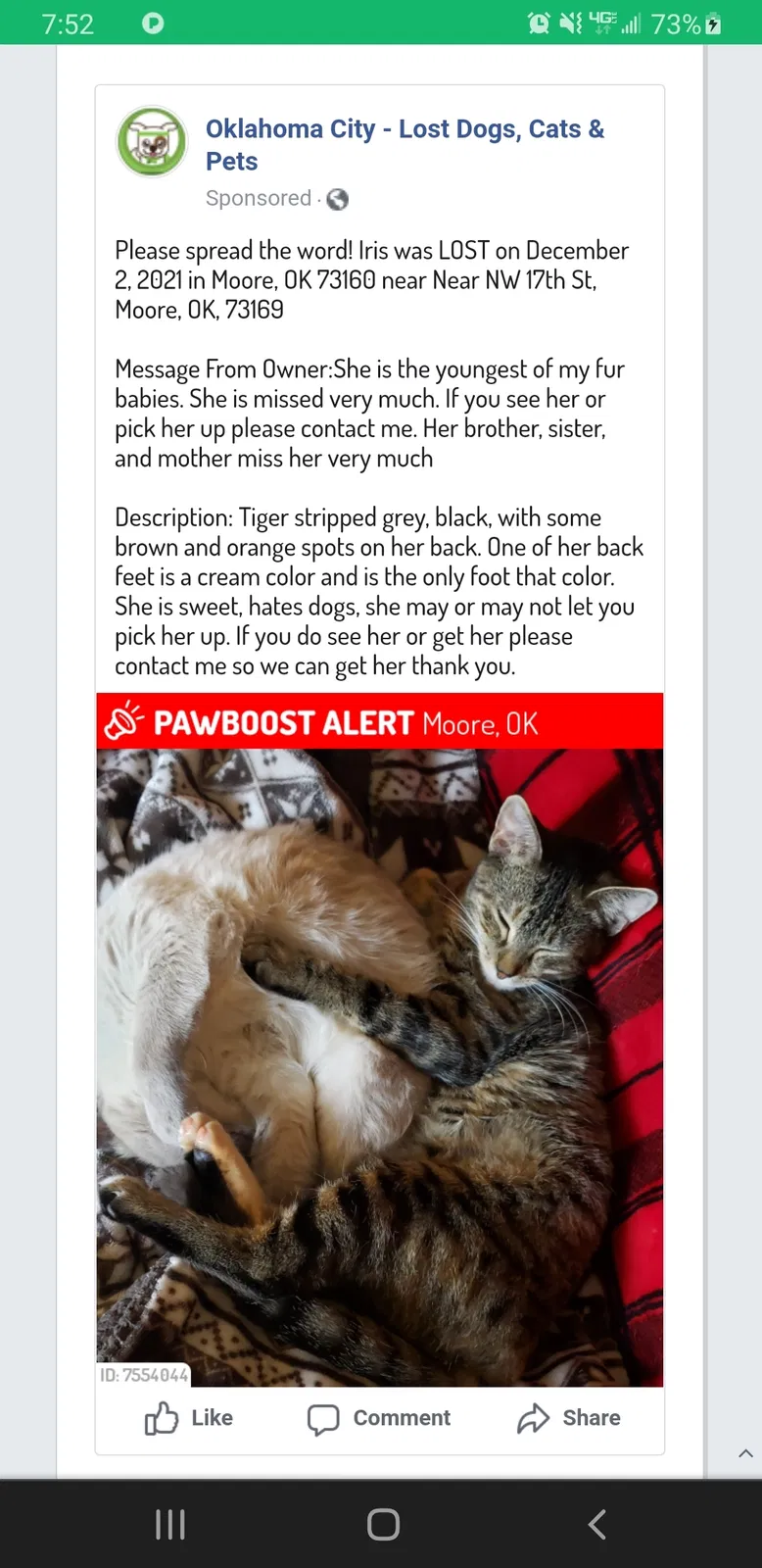 Lost cat in Oklahoma City, OK, 73160