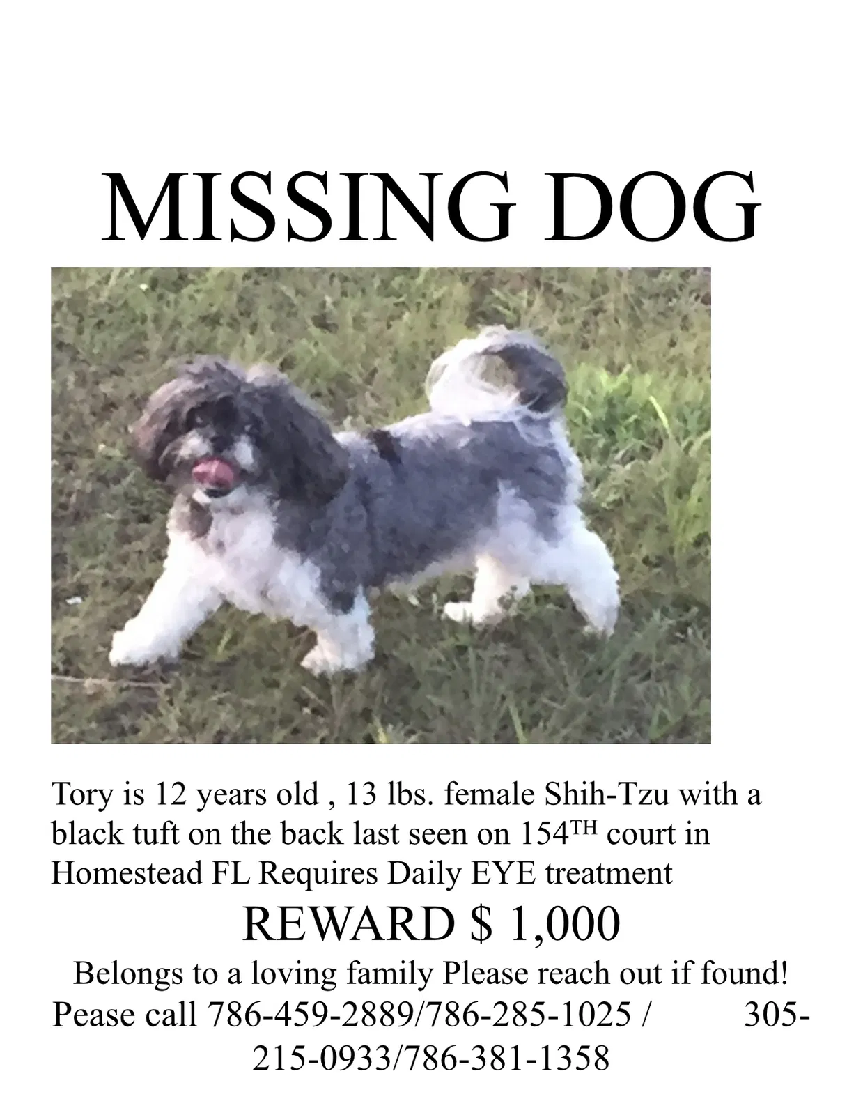 Lost dog in Homestead, FL, 33033