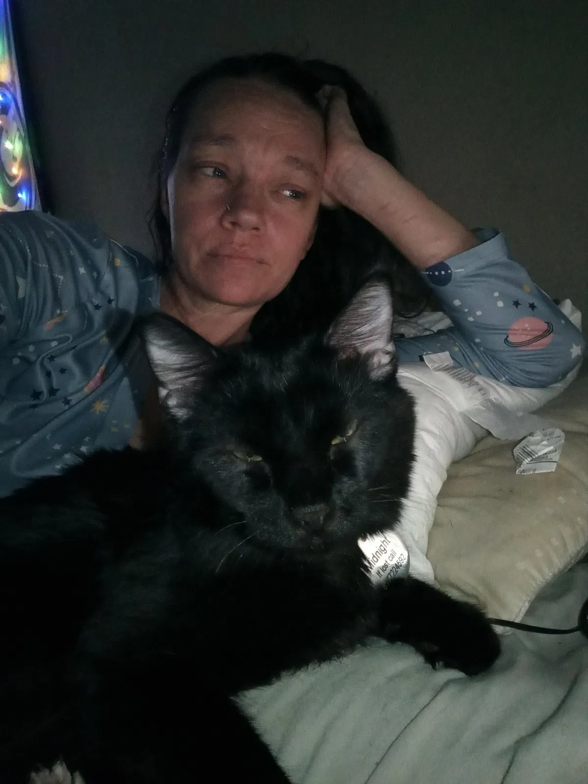 Lost cat in Fort Worth, TX, 76133