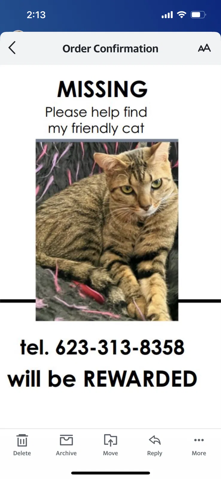 Lost cat in Phoenix, AZ, 85037
