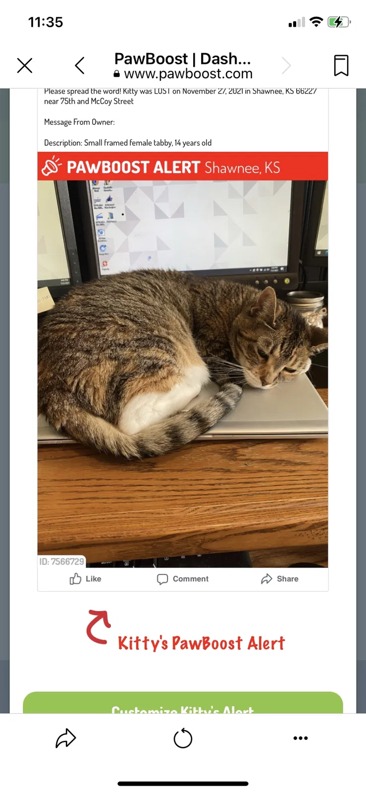 Lost cat in Lenexa, KS, 66227