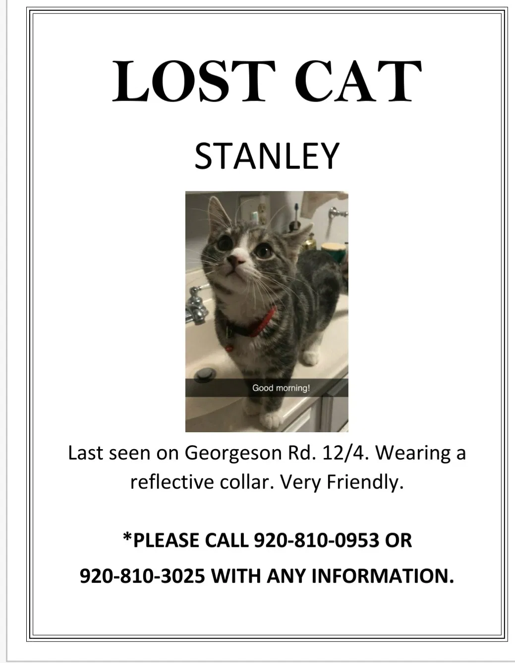 Lost cat in Ogdensburg, WI, 54962