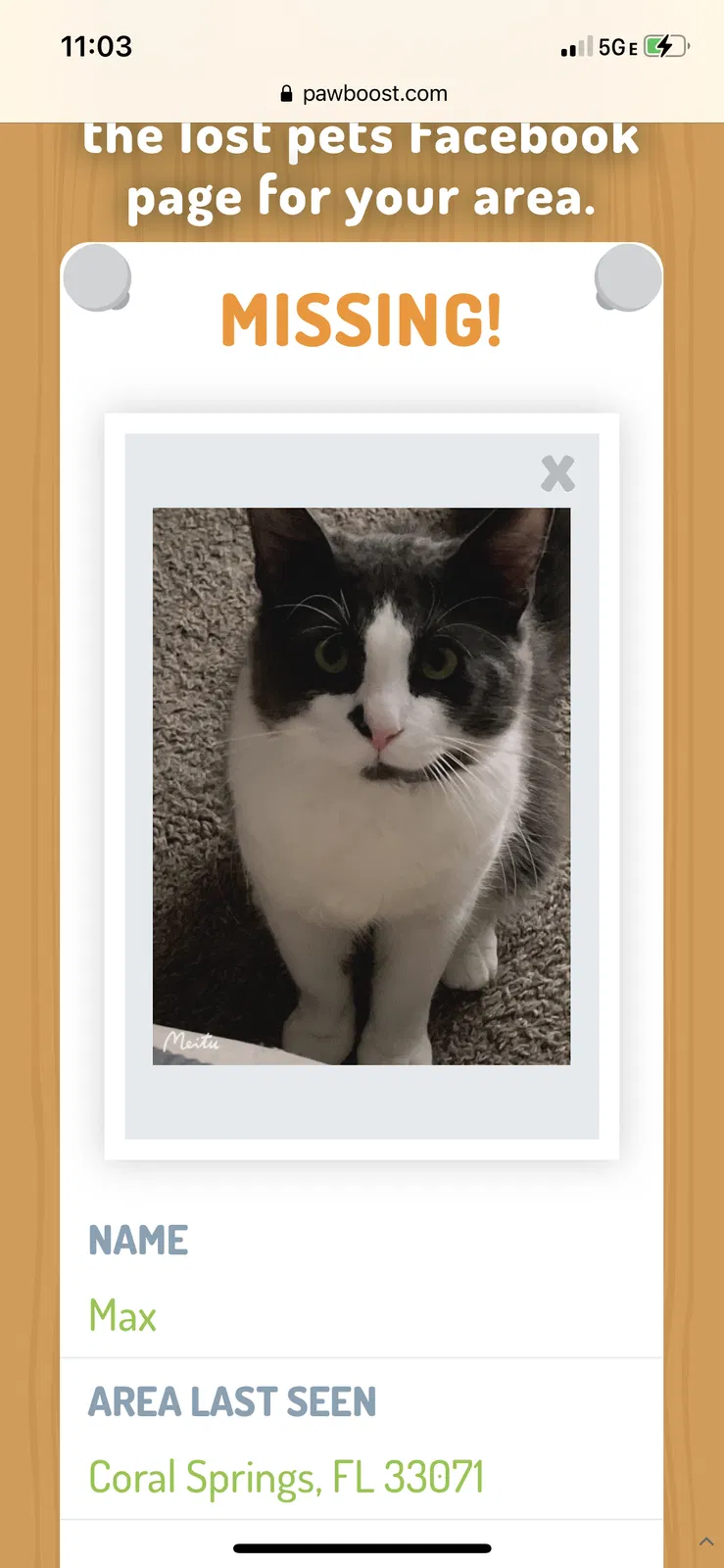 Lost cat in Pompano Beach, FL, 33071