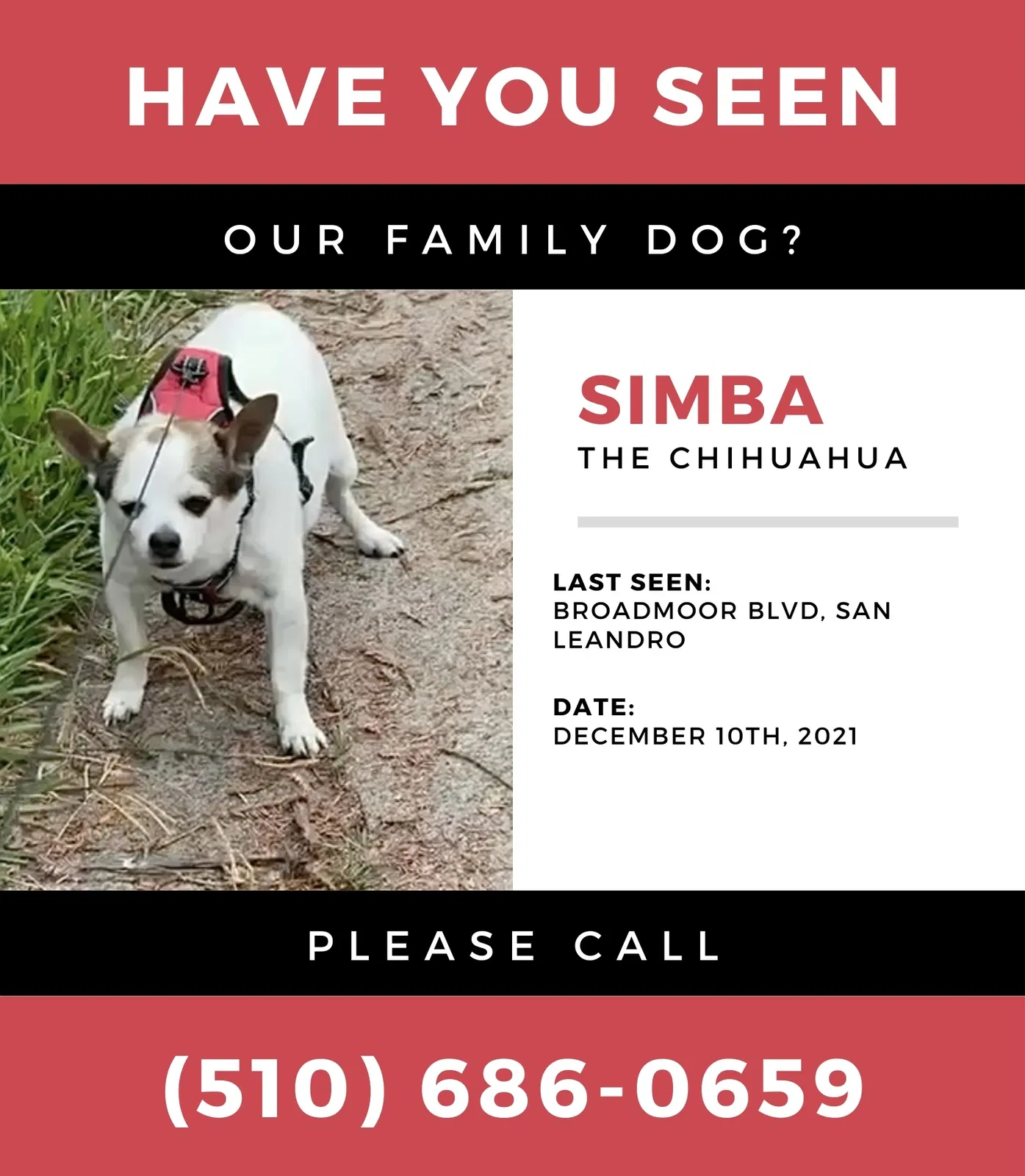 Lost dog in San Leandro, CA, 94577