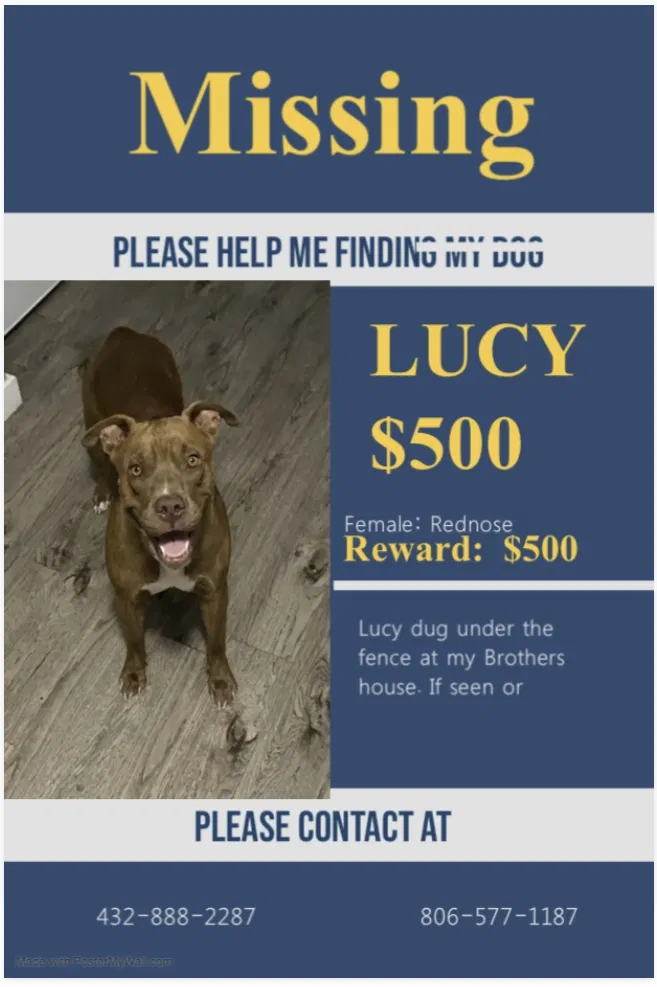 Lost dog in Odessa, TX, 79764