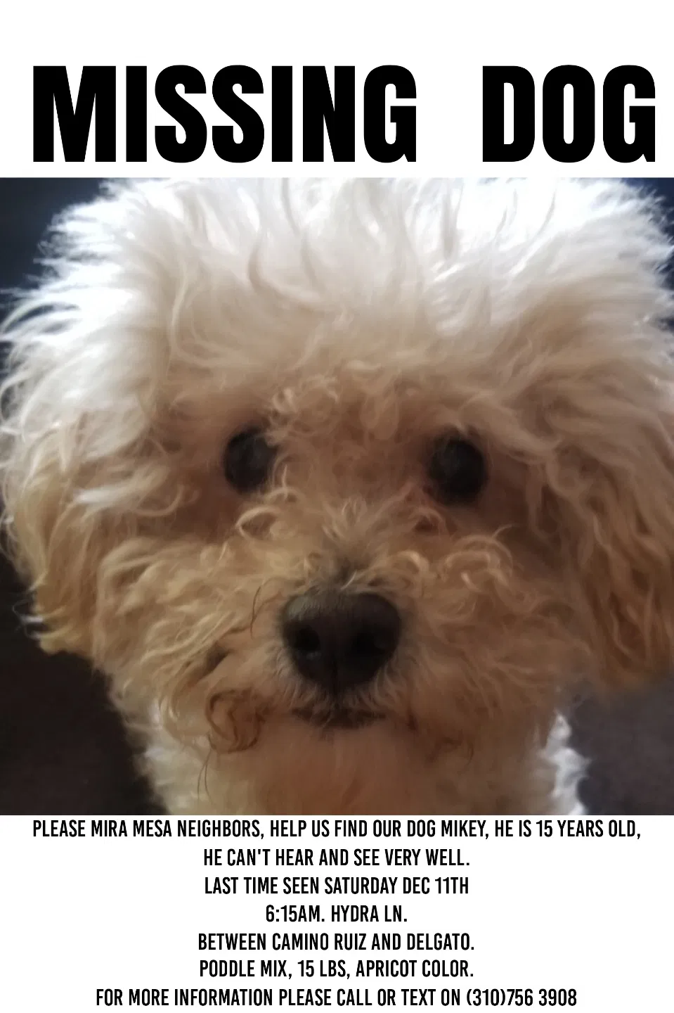 Lost dog in San Diego, CA, 92126
