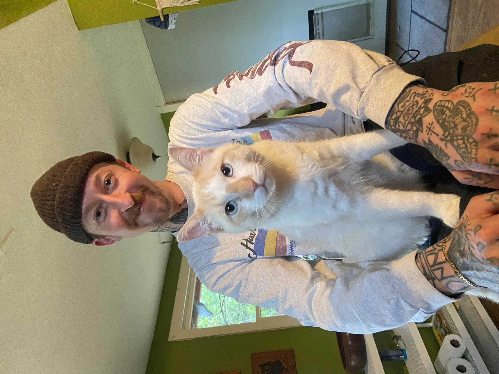 Lost cat in Portland, OR, 97206