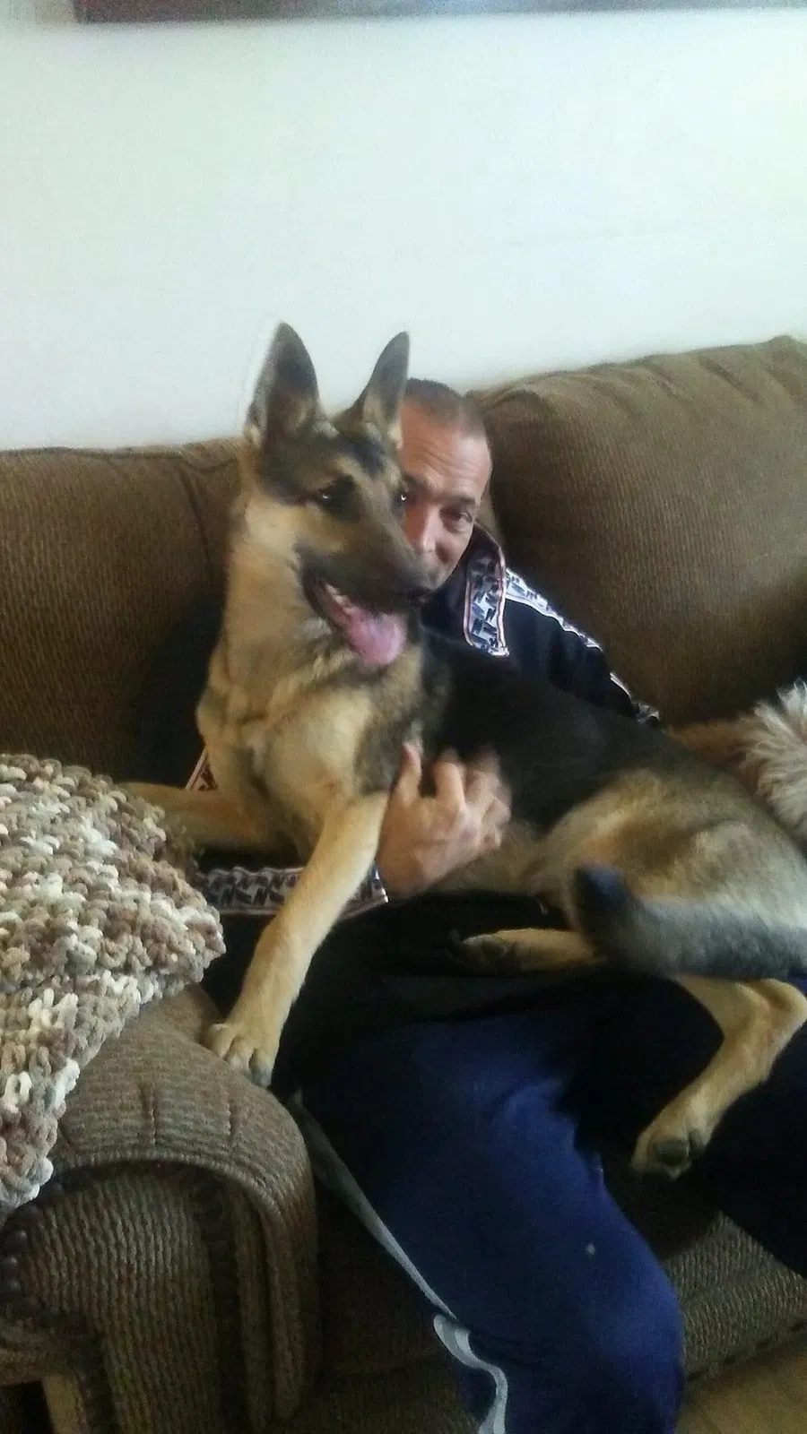 Lost dog in Albuquerque, NM, 87112