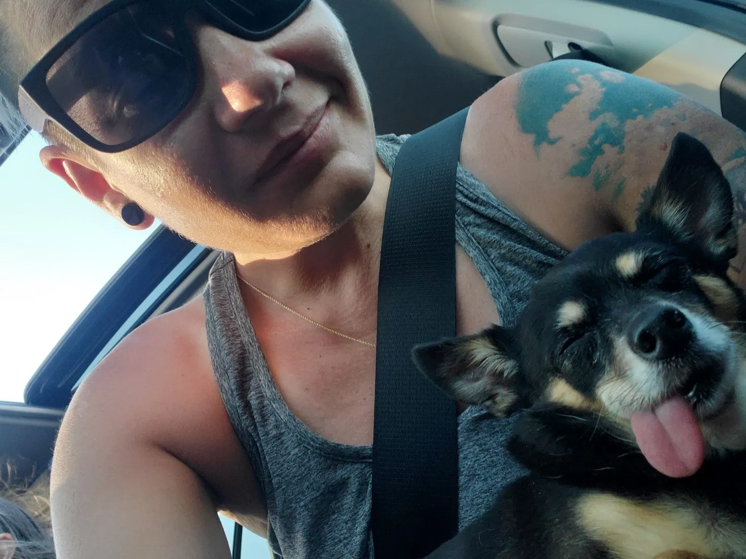 Lost dog in Mukilteo, WA, 98275