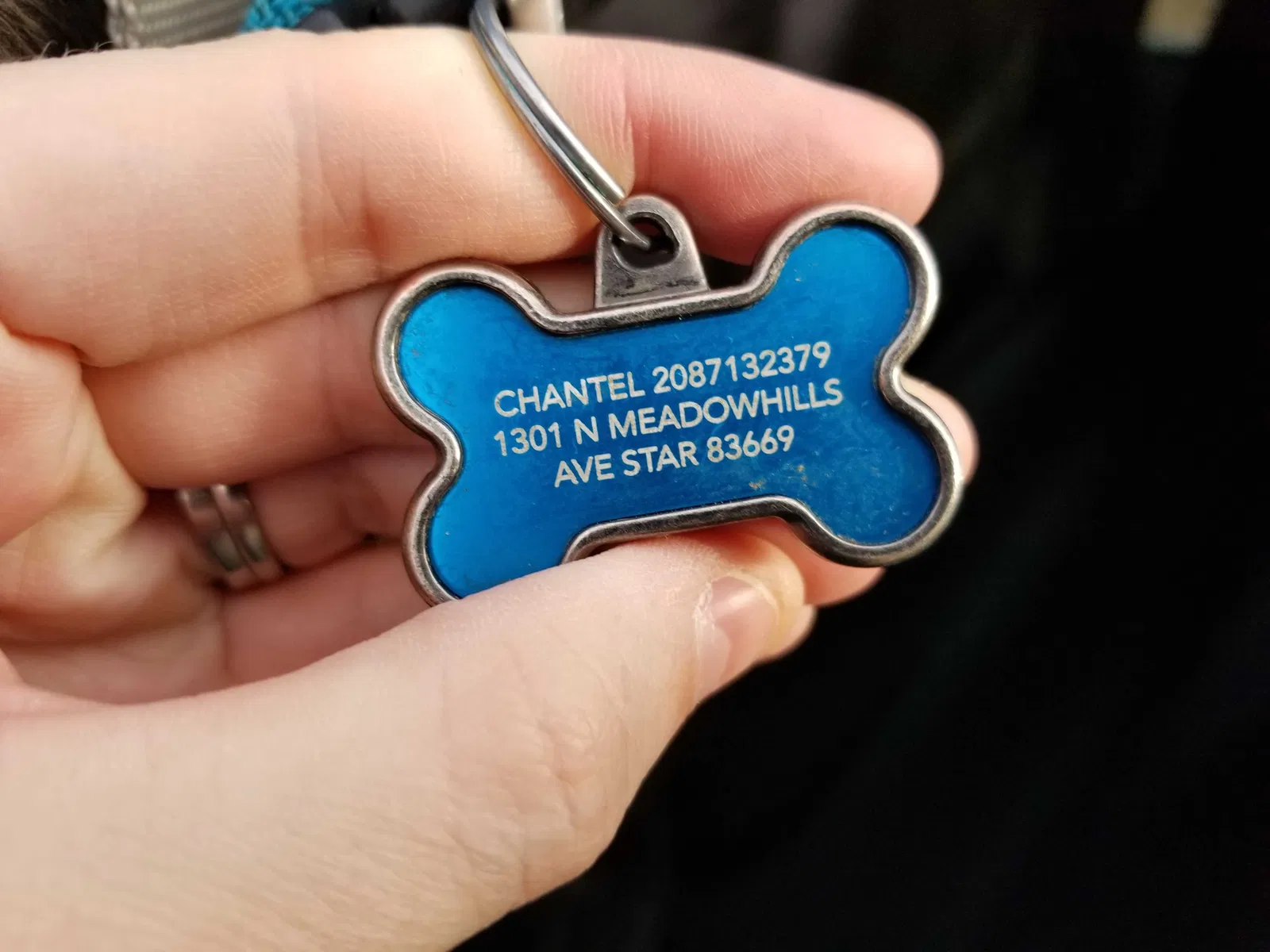 Found dog in Star, ID, 83669