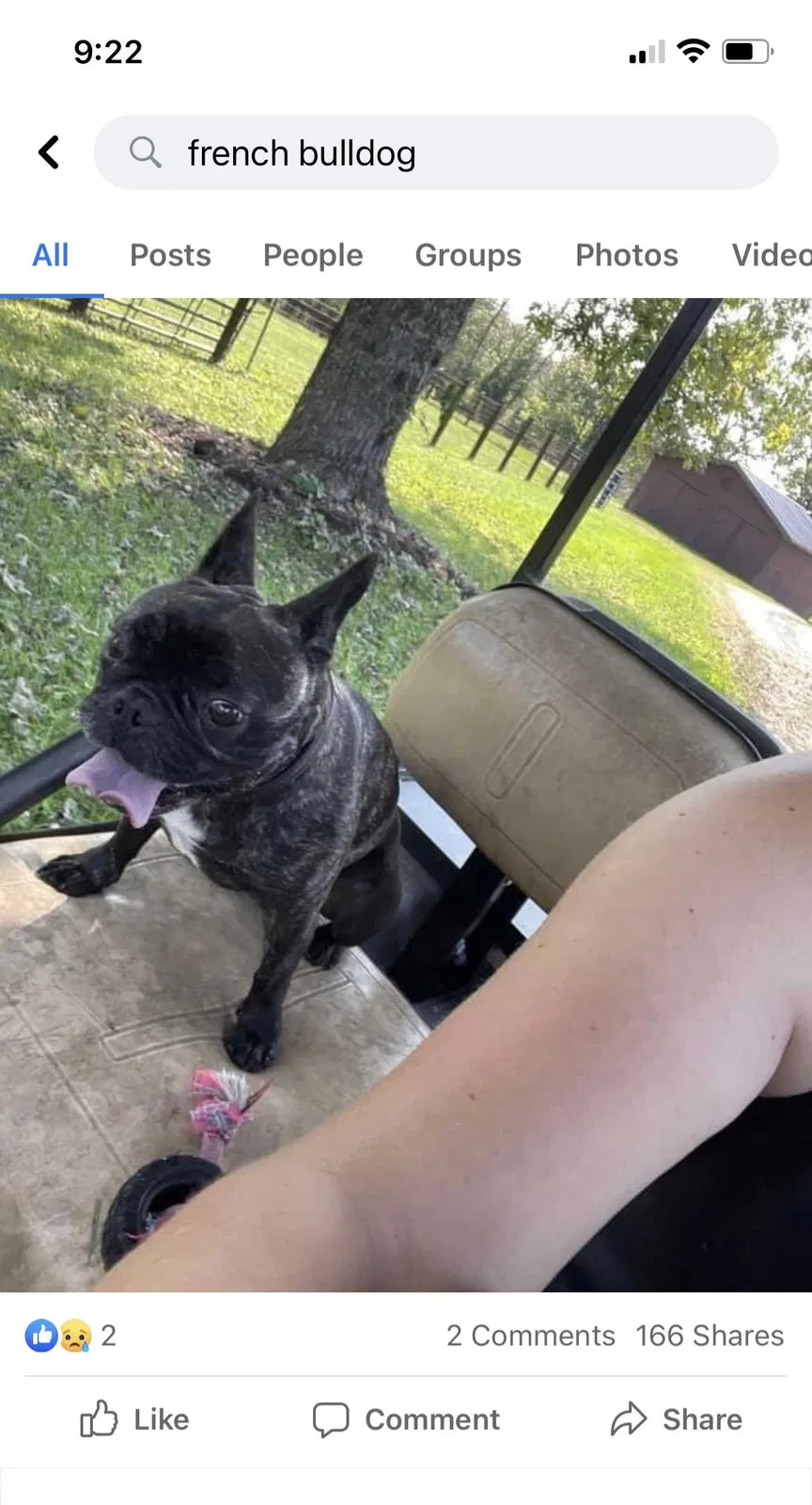 Lost dog in Lexington, KY, 40502
