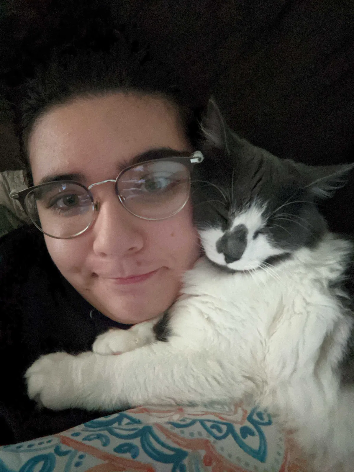 Lost cat in Santa Fe, NM, 87501