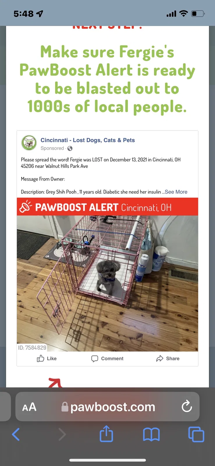 Lost dog in Cincinnati, OH, 45206