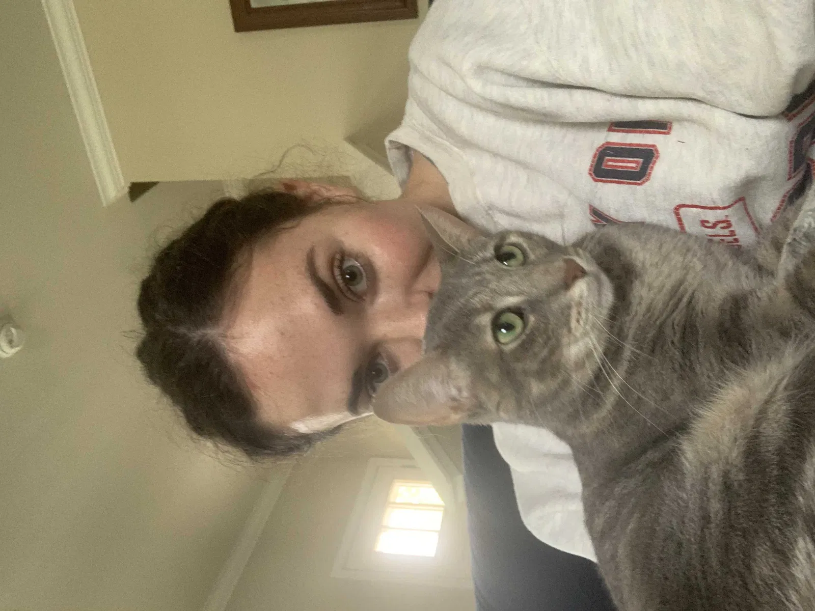 Lost cat in Columbia, MO, 65201