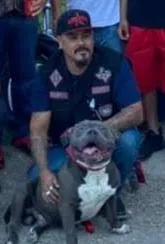 Lost dog in Houston, TX, 77015