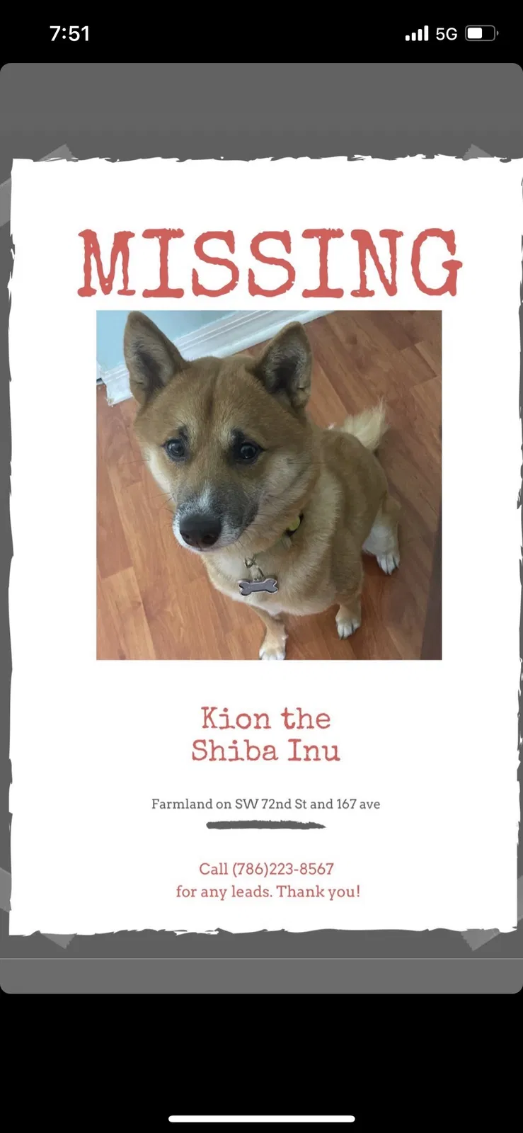Lost dog in Miami, FL, 33193