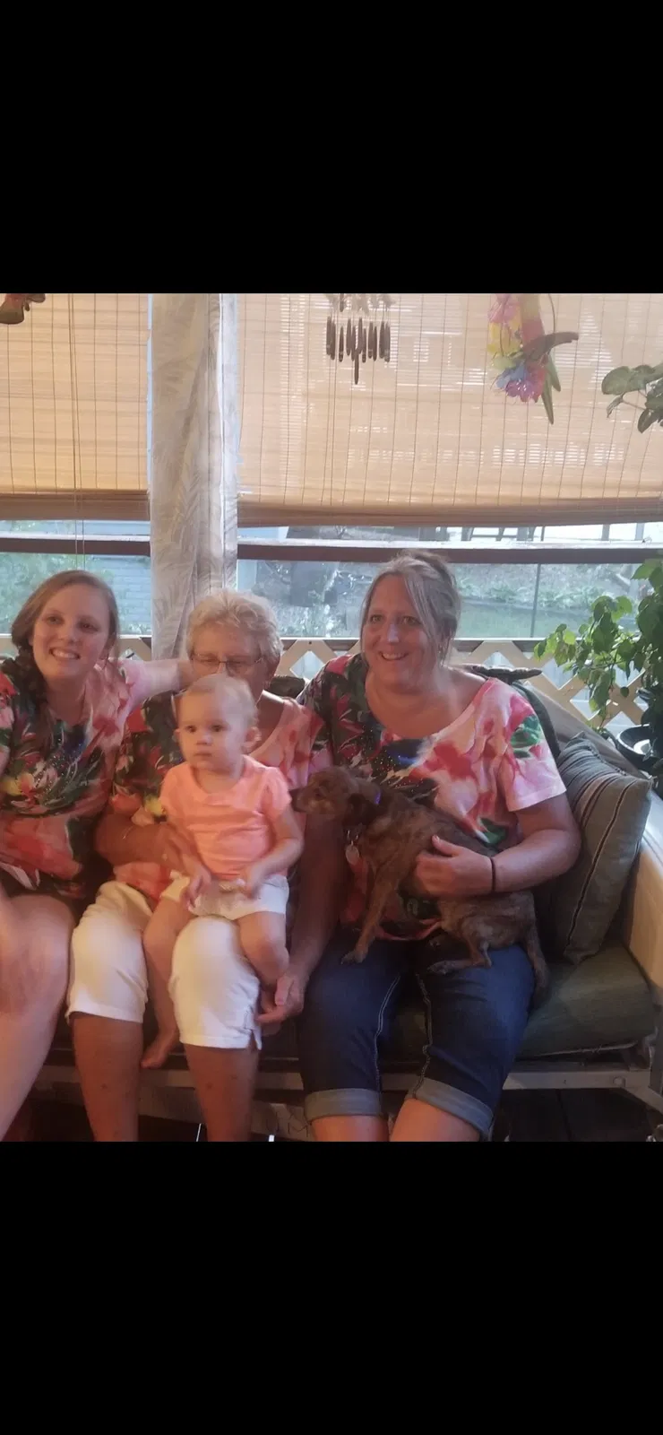 Lost dog in Des Moines, IA, 50315