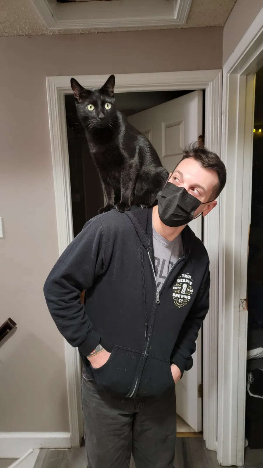 Lost cat in Rockville, MD, 20850
