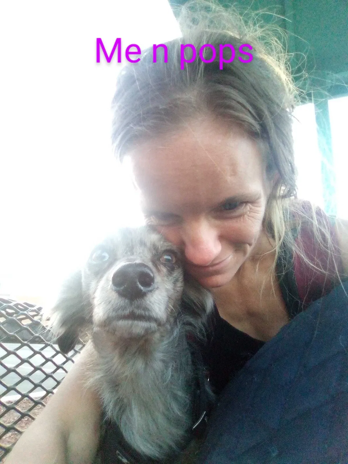 Lost dog in Bellflower, CA, 90706
