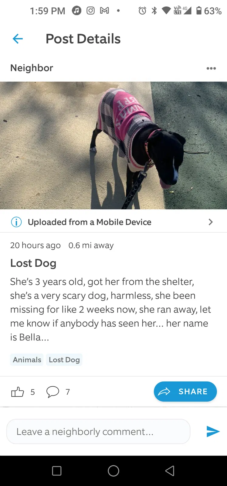 Lost dog in Wilmington, DE, 19805