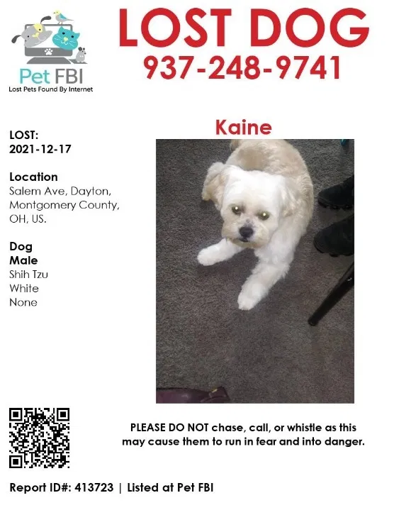 Lost dog in Dayton, OH, 45416