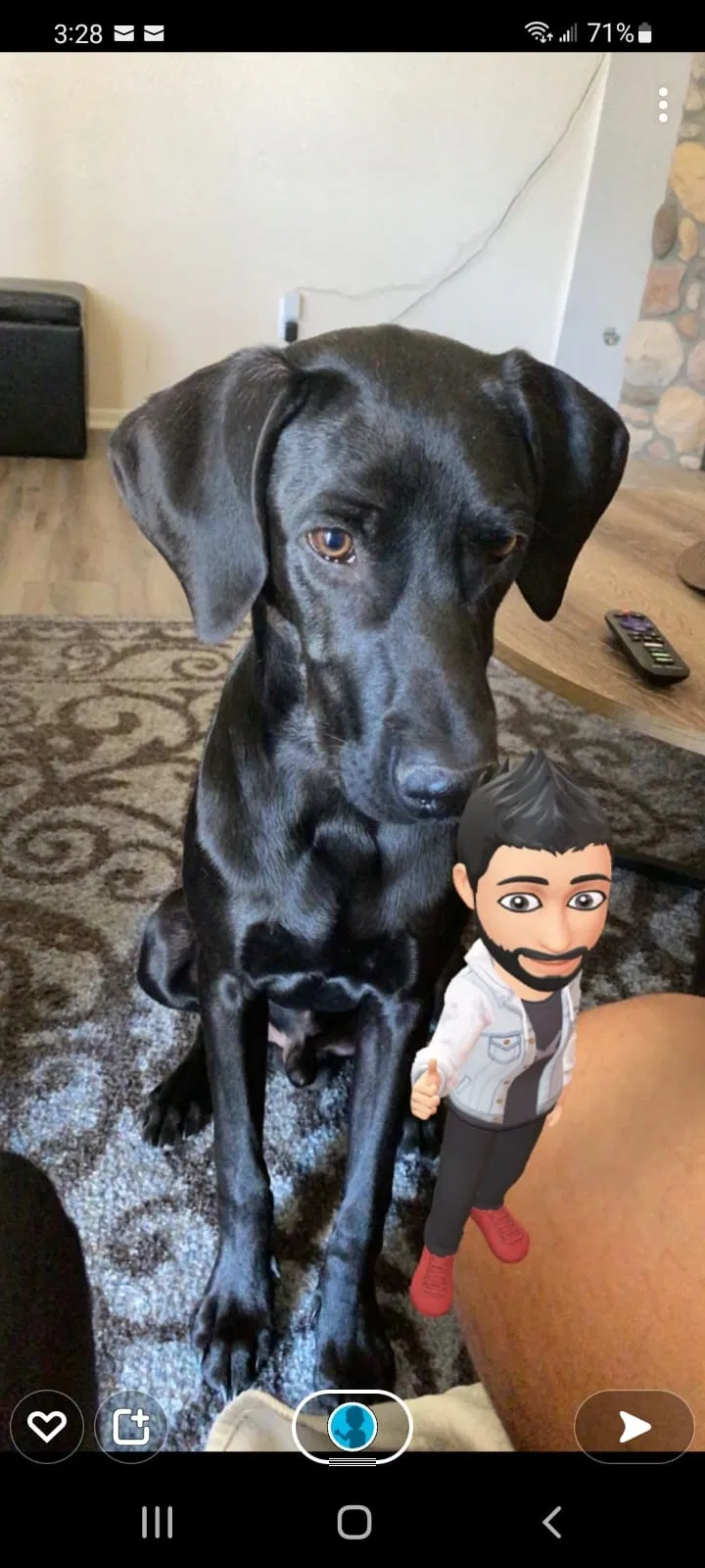 Lost dog in Victorville, CA, 92392