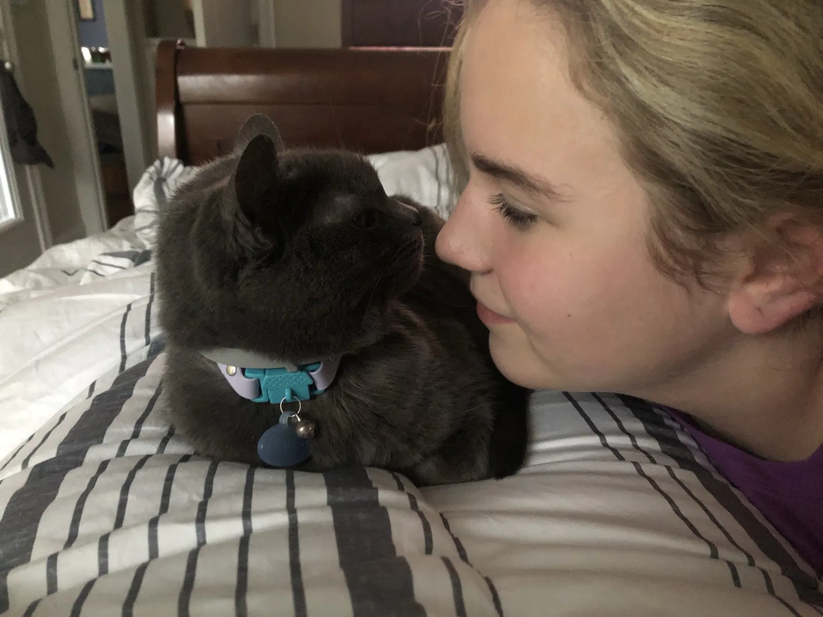 Lost cat in Vonore, TN, 37885