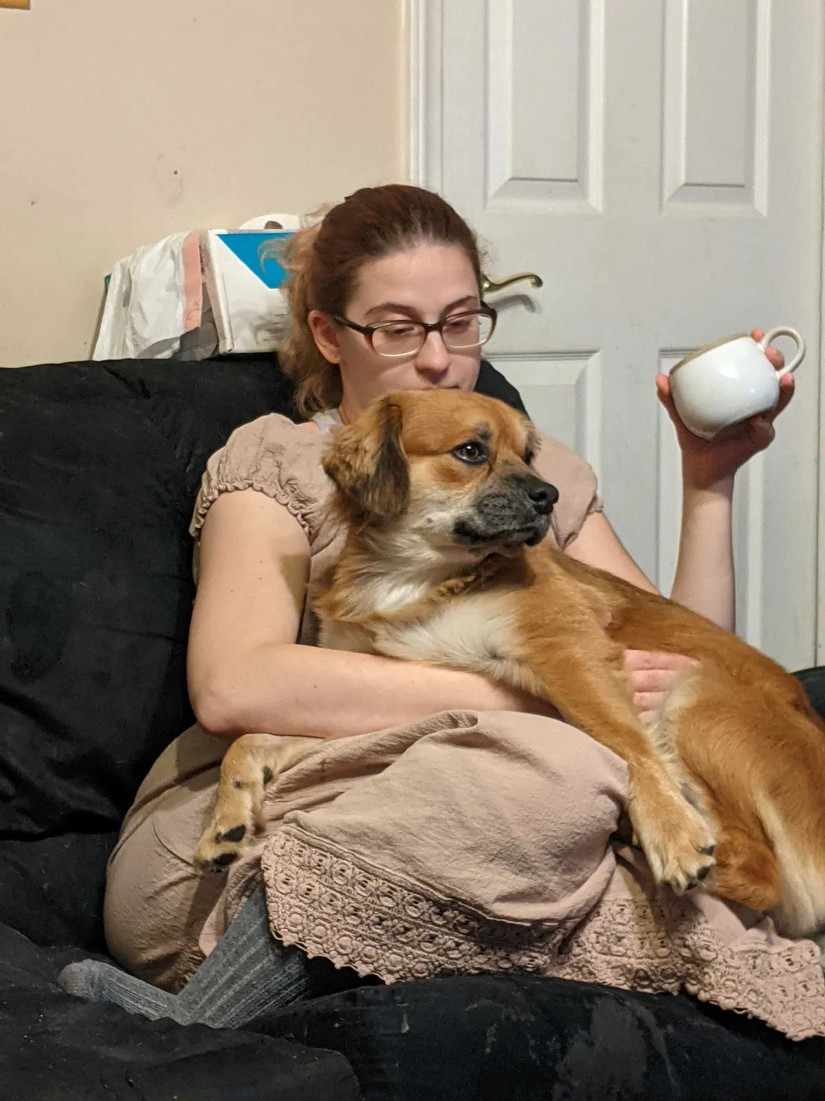 Lost dog in Raeford, NC, 28376