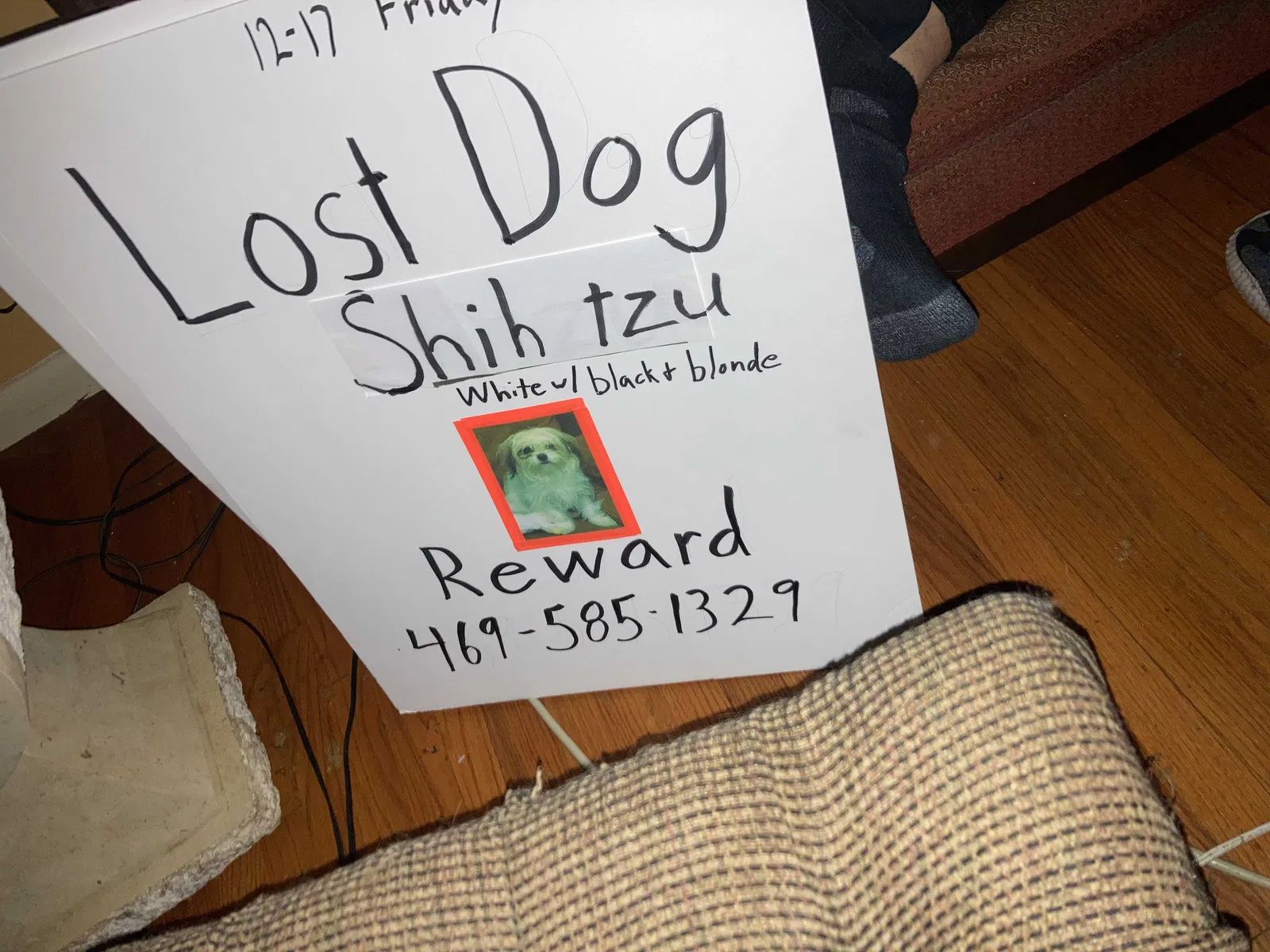 Lost dog in Richardson, TX, 75081