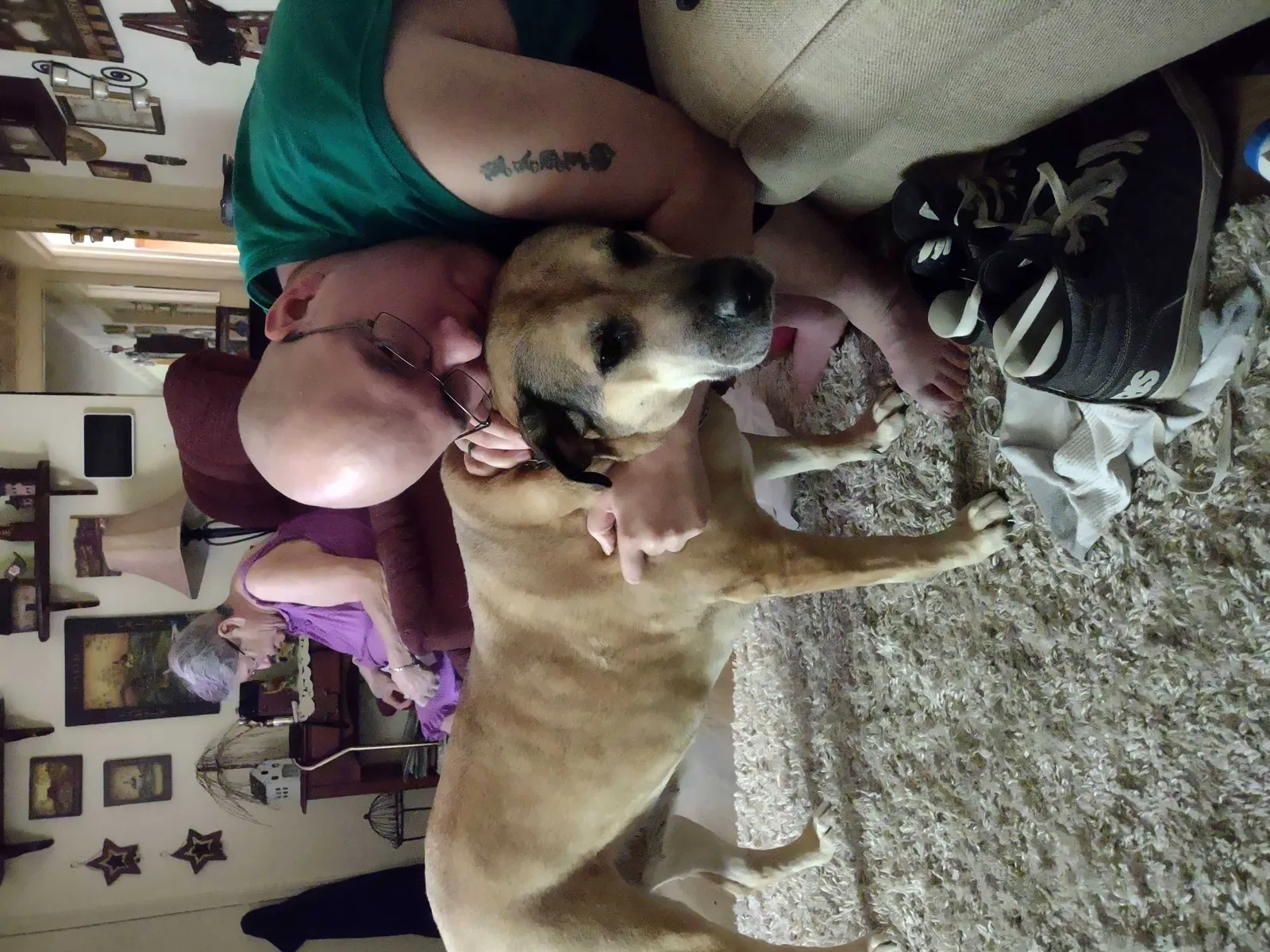 Lost dog in Elizabethtown, KY, 42701