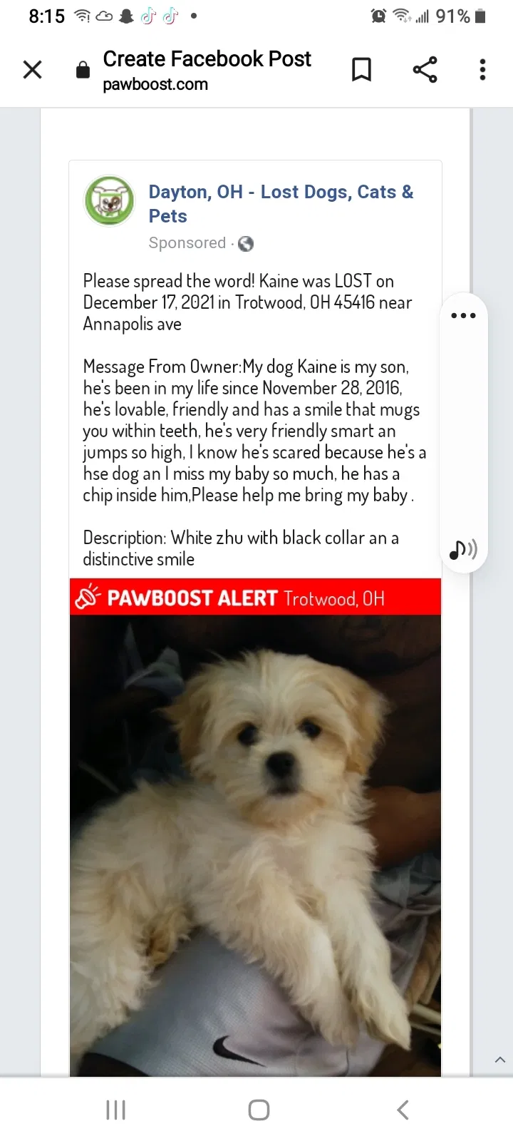 Lost dog in Dayton, OH, 45416