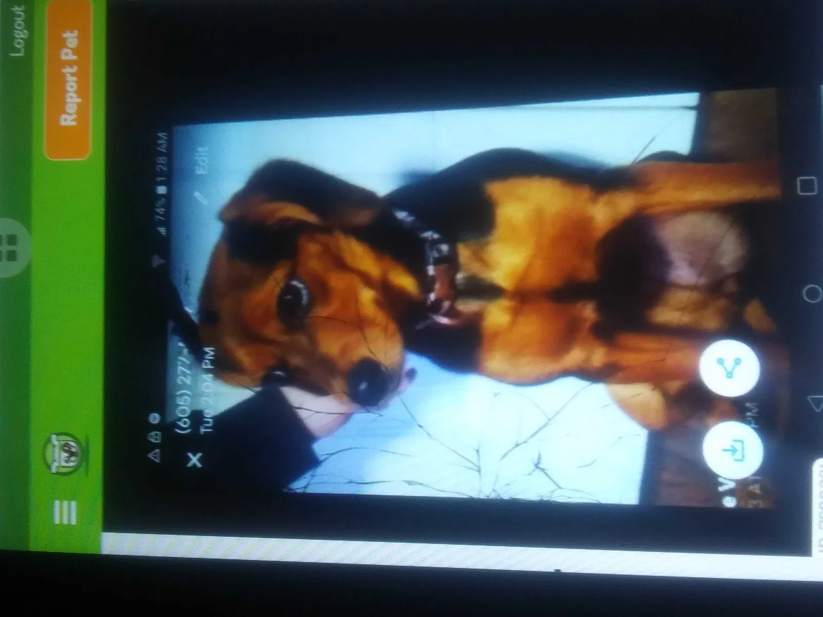 Lost dog in Aberdeen, SD, 57401