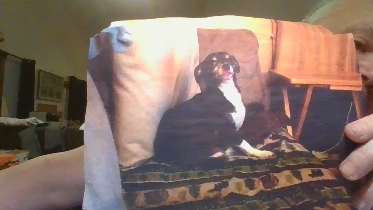 Lost dog in North Richland Hills, TX, 76182